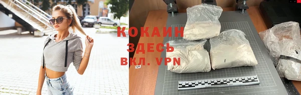 трава Аркадак