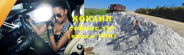 трава Аркадак