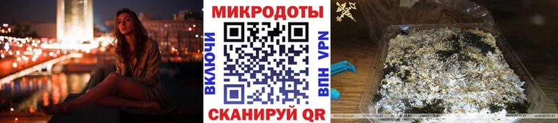 Псилоцибиновые грибы Psilocybe  Ликино-Дулёво 
